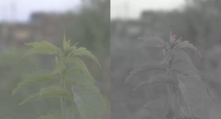 Low contrast: the camera finds only a few points